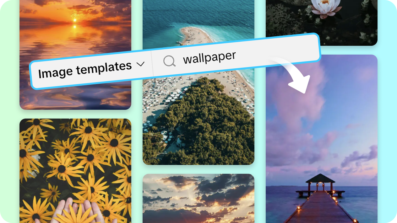 Extensive wallpaper templates for inspiration